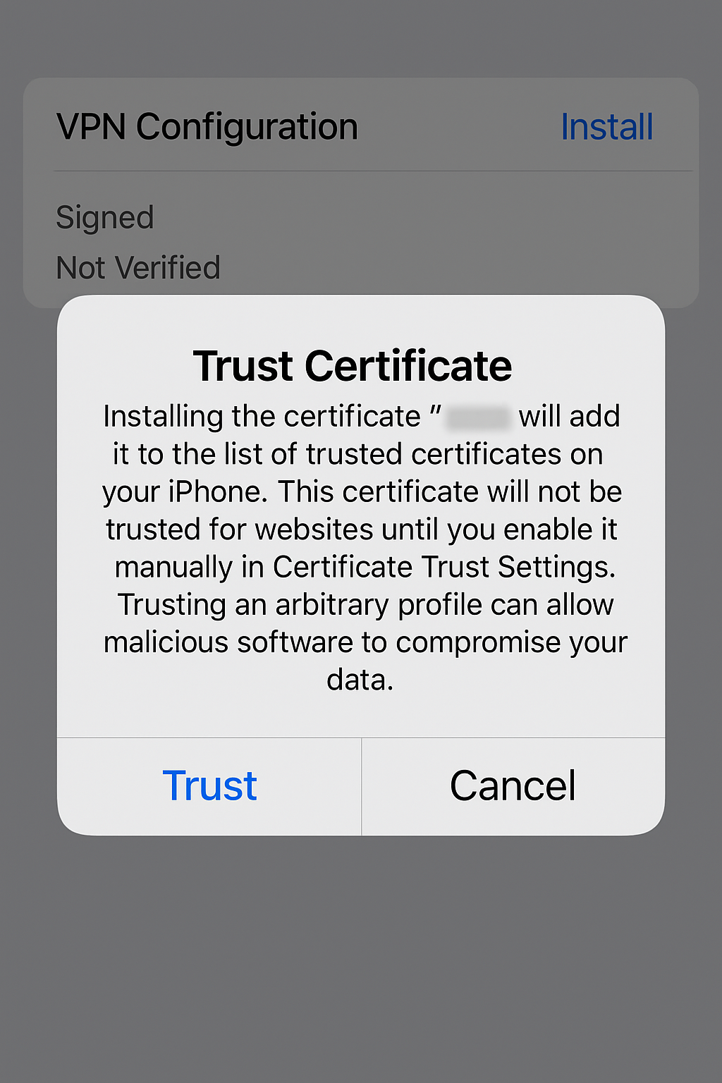 Trust certificate screen